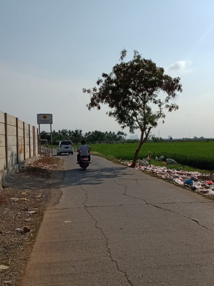 Tanah Sawah Dijual di Buni Asih Permai Cikarang